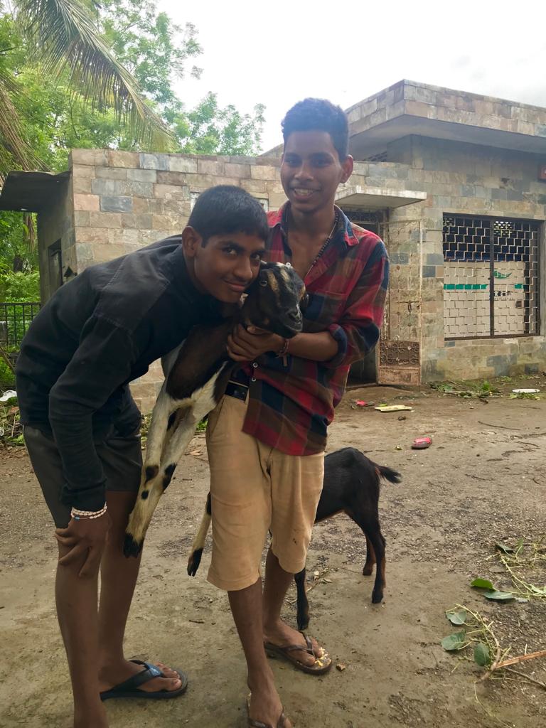 Unsere Projektziegen: Gerti und Rosi